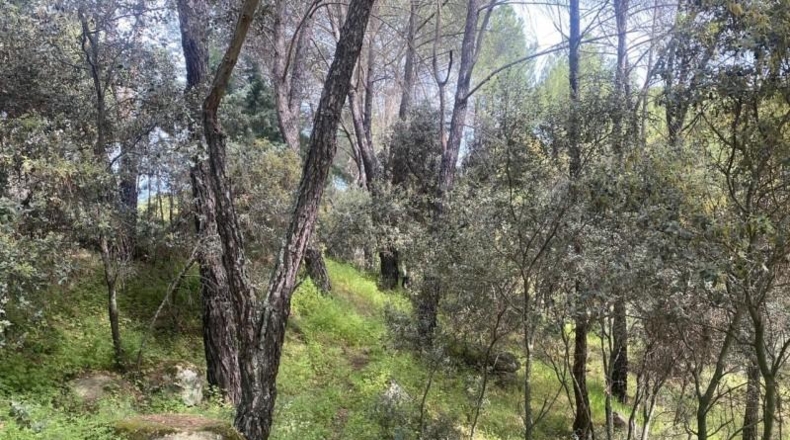 Avila - Cebreros - 3500m2