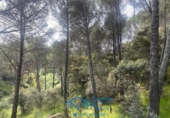 Sòl urbà en venda a la España, Cebreros, ref.: TR130322 foto