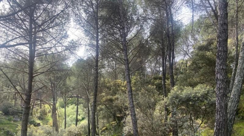 Avila - Cebreros - 3500m2