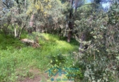 Sòl urbà en venda a la España, Cebreros, ref.: TR130322 foto