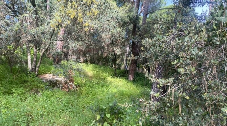 Avila - Cebreros - 3500m2