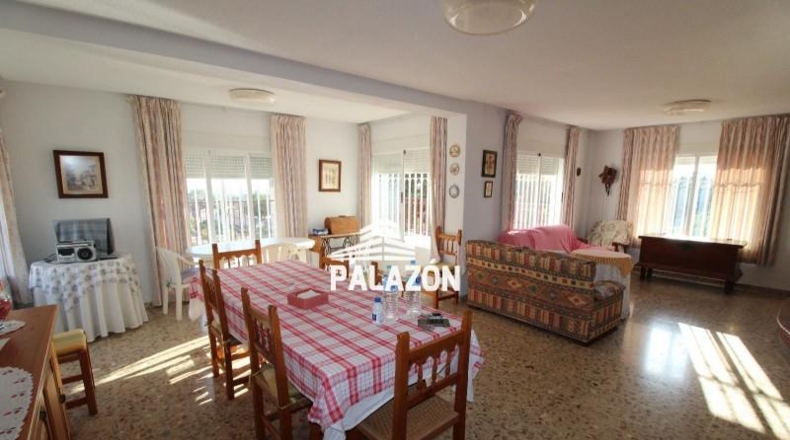 Alicante - Crevillente - 4000m2