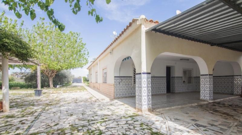 Alicante - Elche - 1800m2