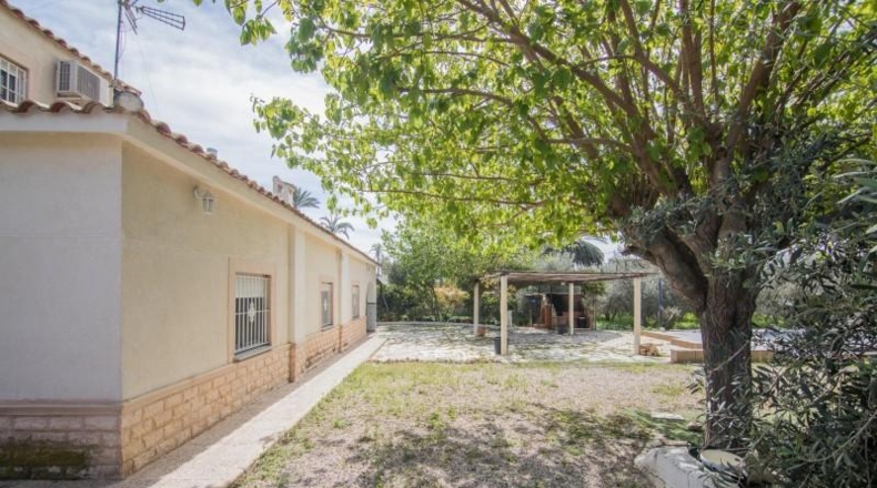 Alicante - Elche - 1800m2