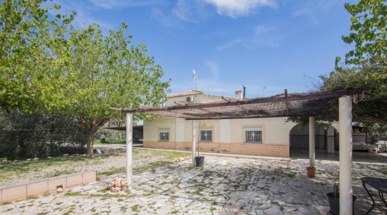 Alicante - Elche - 1800m2