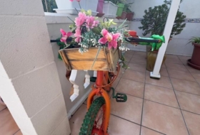 Foto 11