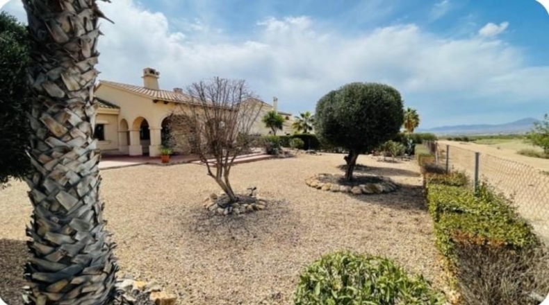 Murcia - Fuente Álamo de Murcia - 1020m2