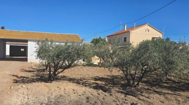 Murcia - Lorca - 1500m2