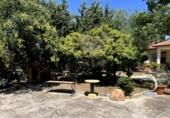 Casa de camp amb terreny en venda a la España, Antequera, ref.: TR319858 foto