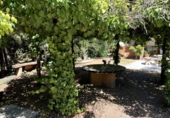 Casa de camp amb terreny en venda a la España, Antequera, ref.: TR319858 foto