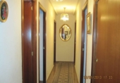 Chalet independiente con terreno en venta en la España, Monóvar, ref: TR146011 foto