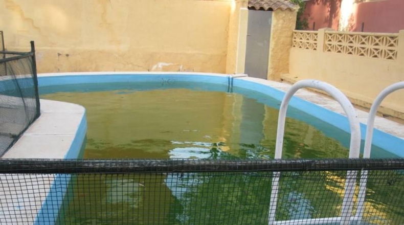 Alicante - Monóvar - 700m2
