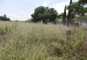 Terreno no urbanizable en venta en la España, Godella, ref: TR228294 foto