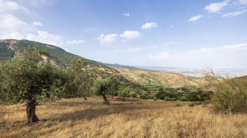 Гранада - Monachil - 190000m2