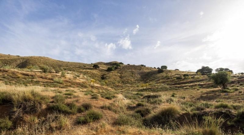 Гранада - Monachil - 190000m2