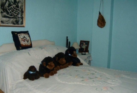 Foto 15