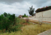 Xalet independent amb terreny en venda a la España, Fortuna, ref.: TR309793 foto