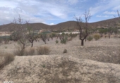 Casa con terreno en venta en la España, Lorca, ref: TR317843 foto