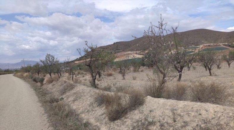 Мурсия - Lorca - 99800m2