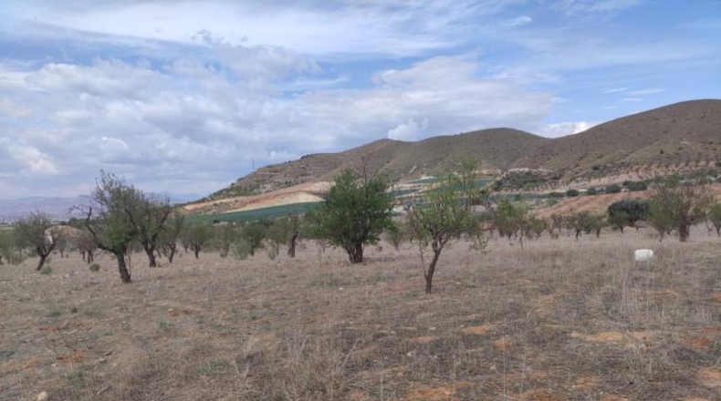 Мурсия - Lorca - 99800m2