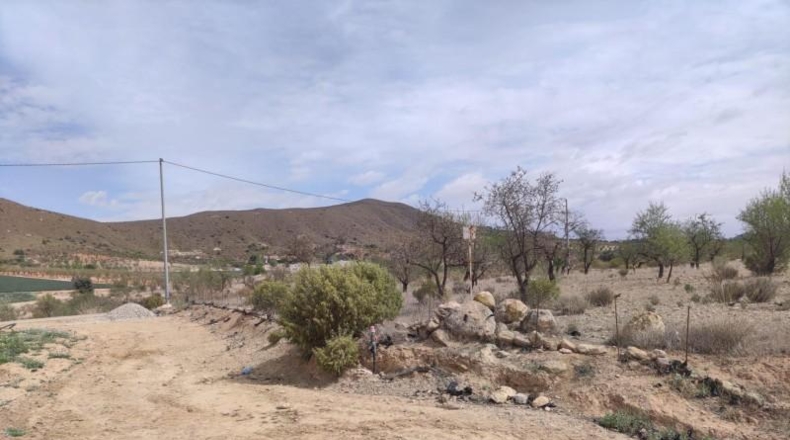 Мурсия - Lorca - 99800m2