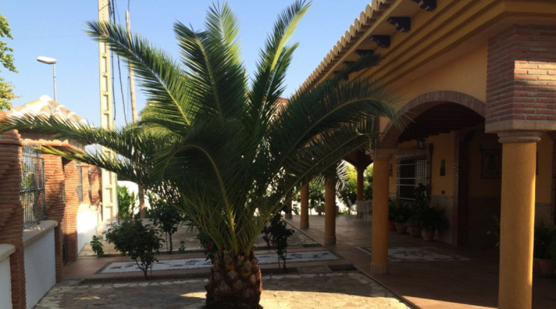 Granada - Huétor Tájar - 1614m2