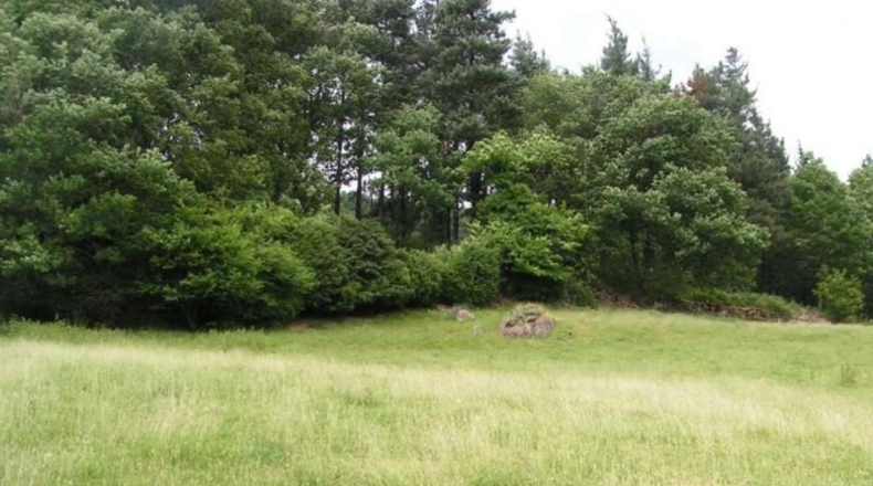 Navarra - Sumbilla - 37001m2