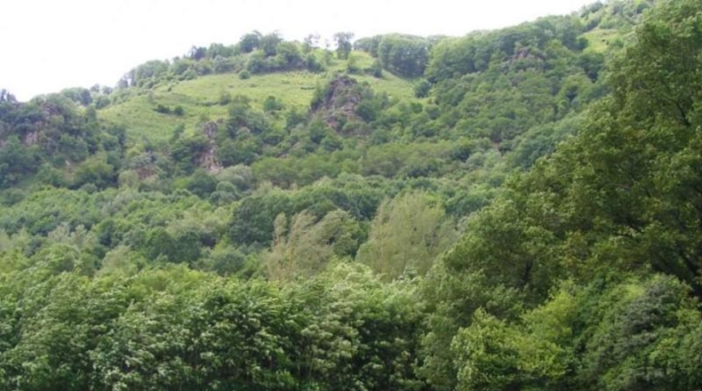 Navarra - Sumbilla - 37001m2