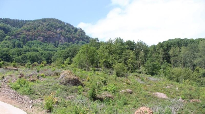 Navarra - Sumbilla - 37001m2