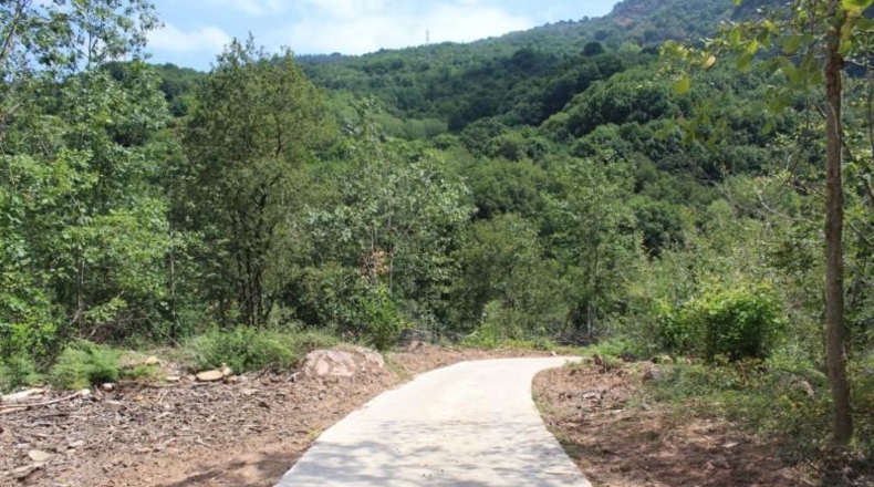 Navarra - Sumbilla - 37001m2