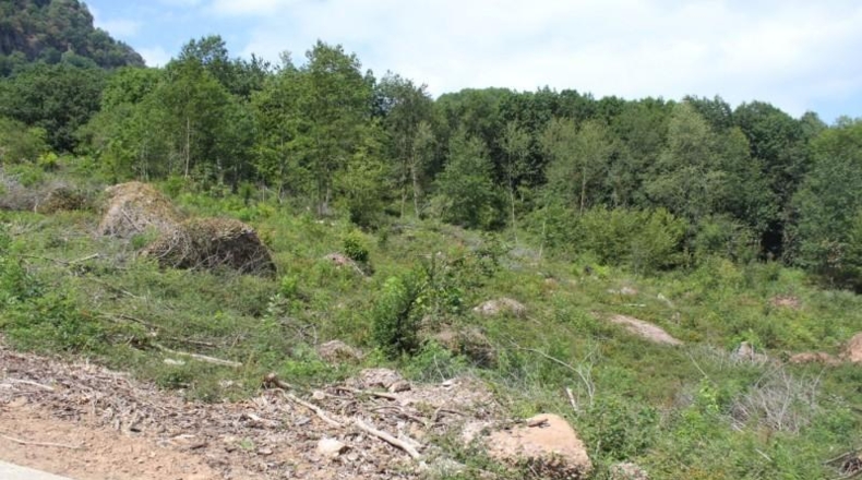 Navarra - Sumbilla - 37001m2