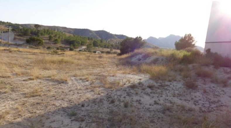 Alicante - Petrer - 2365m2