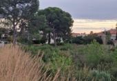 Suelo urbano en venta en la España, Mont-roig del Camp, ref: TR115015 foto