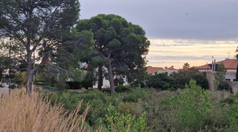 Tarragona - Mont-roig del Camp - 2043m2