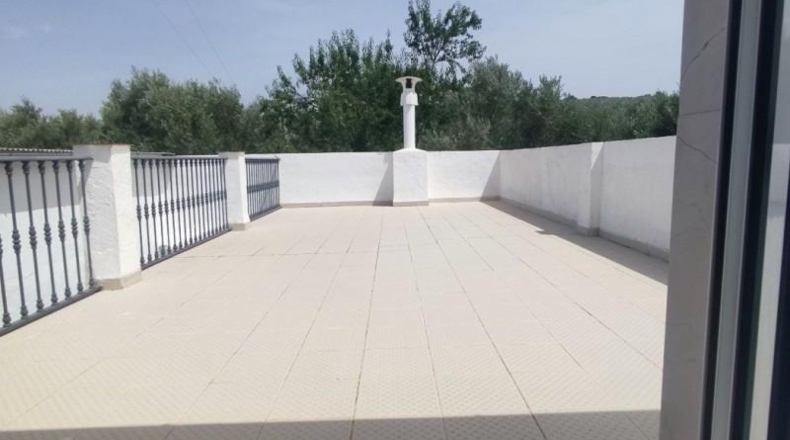 Córdoba - Montilla - 3900m2
