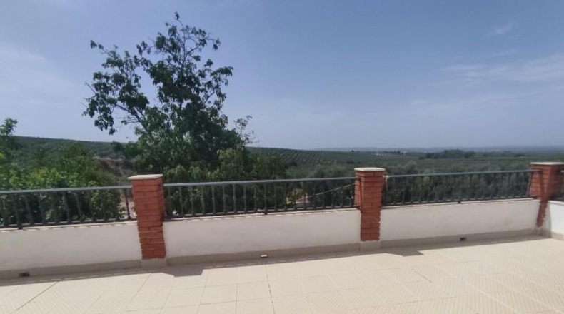 Córdoba - Montilla - 3900m2