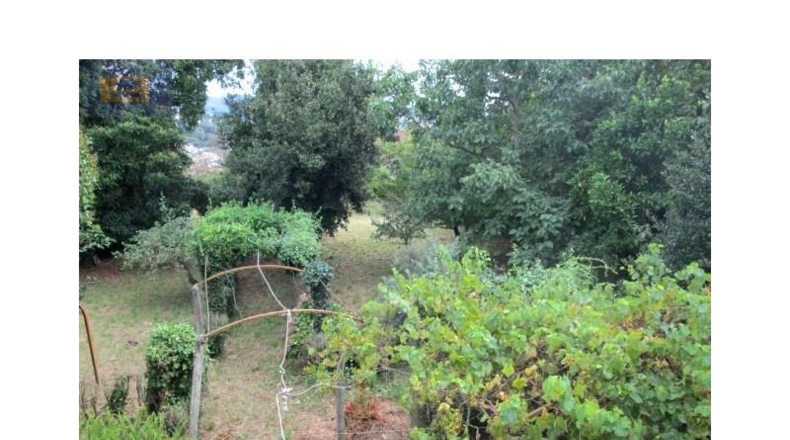 Pontevedra - Vigo - 1735m2