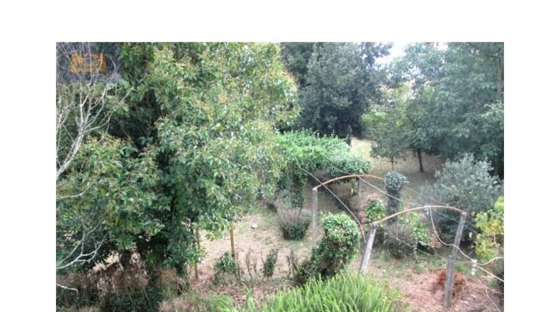 Pontevedra - Vigo - 1735m2