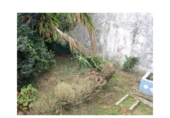Casa de camp amb terreny en venda a la España, Vigo, ref.: TR196078 foto
