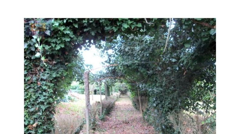 Pontevedra - Vigo - 1735m2