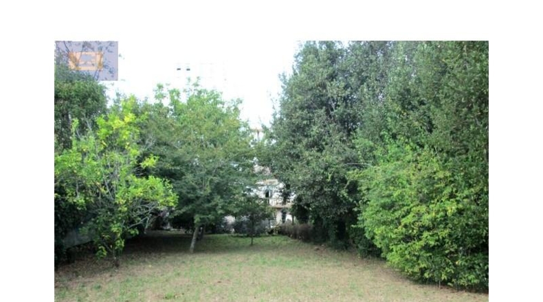 Pontevedra - Vigo - 1735m2