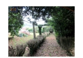 Casa de camp amb terreny en venda a la España, Vigo, ref.: TR196078 foto