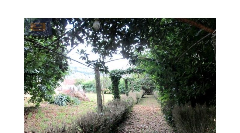 Pontevedra - Vigo - 1735m2