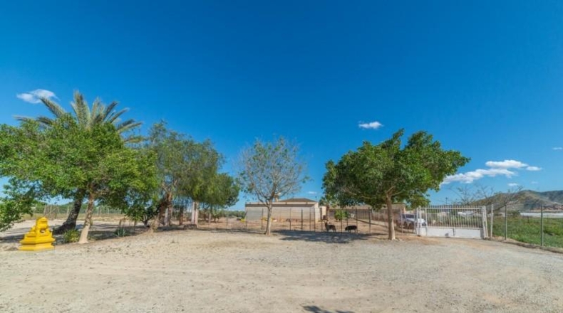 Murcia - Торре-Пачеко - 7249m2