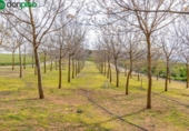 Non-developable land for sale on España, Padul, ref: TR243243 photo