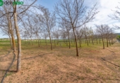 Non-developable land for sale on España, Padul, ref: TR243243 photo