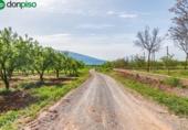 Non-developable land for sale on España, Padul, ref: TR243243 photo