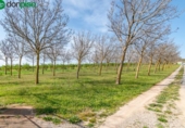 Non-developable land for sale on España, Padul, ref: TR243243 photo