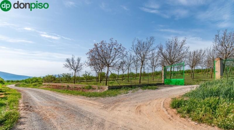 Granada - Padul - 13772m2