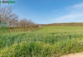 Non-developable land for sale on España, Padul, ref: TR243243 photo